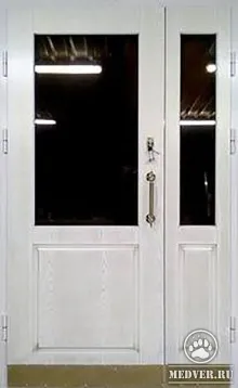 Тамбурная дверь в подъезд-58